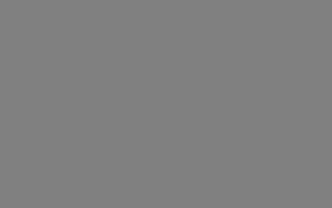 color gris